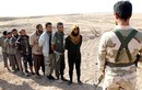 Hình ảnh hơn 1.000 phiến quân IS đầu hàng ở Hawija