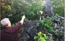 Bí ẩn ngôi chùa Trinh Tiết và mỏm đá “tự lớn”