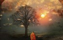 Phật dạy: Kiêu căng mất phước
