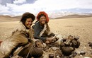 Phát hiện mới về sự sống đầu tiên ở Tây Tạng