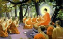Vì sao Đức Phật còn tóc mà chư Tăng thì không?