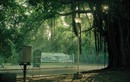 Bộ ảnh về “hòn đảo bí ẩn” Cuba những năm 1990
