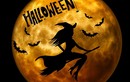 Kinh hoàng những tai họa bị lầm tưởng là trò đùa Halloween