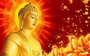 Phật dạy: Loại bỏ 6 điều “không” để thoát khỏi phiền não