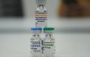 Bộ Y tế thẩm định giai đoạn đầu vắc xin Nanocovax