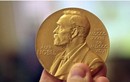 Điểm danh các ứng viên tiềm năng cho Giải Nobel danh giá năm 2021