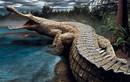 Lộ diện 'cá sấu quái vật' 200 triệu năm hệt khủng long Jura