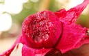 3 loại trái cây không nên mang ra mộ trong ngày Tết Thanh minh