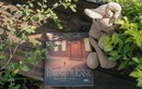 “Chuyến phiêu lưu diệu kỳ của Edward Tulane”: Tình yêu học lại từ đầu