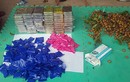 Ngụy trang 59 bánh heroin trong thùng nhãn trên xe khách