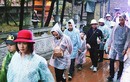 Ảnh: Du khách đội mưa, ùn ùn trẩy hội chùa Hương từ tờ mờ sáng