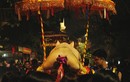 Hàng nghìn người chen chân xem rước “ông lợn” khổng lồ ở Hà Nội
