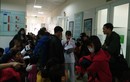 Bắc Ninh hỗ trợ xét nghiệm sán lợn miễn phí cho học sinh