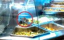 Để chuột bò lúc nhúc trên quầy thức ăn, Aeon Việt Nam nói gì?
