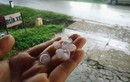 Hai trận mưa đá liên tiếp tại Thừa Thiên Huế