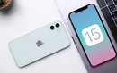 Giữa iPhone 11, iPhone 12 và iPhone 13, nên mua cái nào tốt hơn?