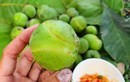 Loại quả quê xưa có đầy không ai hái, giờ thành đặc sản 70.000đồng/kg