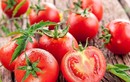 Những sai lầm tai hại khi ăn cà chua có thể khiến bạn ngộ độc