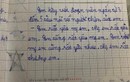 "Lạc đề hay xứng đáng điểm 10", bài văn của cậu bé tiểu học khiến dân mạng thắc mắc