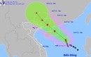 Bão số 1 tăng cấp, sức gió mạnh nhất giật cấp 12