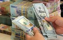 Tỷ giá USD hôm nay 8/1/2024: Tuần mới tăng mạnh?