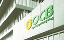 Trước khi Tổng giám đốc xin từ nhiệm, OCB đặt lợi nhuận tăng 66%