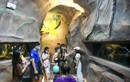 Xếp hàng khám phá 'thủy cung không nước' tại Hà Nội