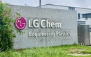 Hồ sơ LG Chem Hải Phòng nợ thuế gần 500 triệu