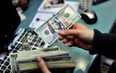 Tỷ giá USD hôm nay 27/12/2024: Đi ngang?