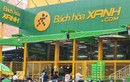 “Mổ xẻ” lợi nhuận BHX sau vụ bán giá đỗ ngâm hóa chất