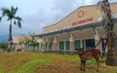 Vì sao thanh tra 5 dự án bất động sản ở Quảng Nam?
