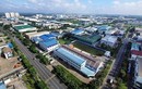 Hồ sơ Cty DNP Holding bị phạt 320 triệu vì vi phạm môi trường