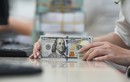 Tỷ giá USD hôm nay 17/4/2025: Hồi phục