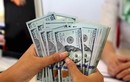 Tỷ giá USD hôm nay 25/4/2025: Biến động ra sao?