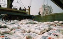 Xử lý triệt để vụ tốn 20.000 USD xin giấy phép xuất khẩu gạo