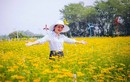 Mê mẩn cánh đồng hoa đẹp "ảo diệu" ở ngoại ô Sài Gòn 