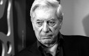 Nhà văn Mario Vargas Llosa: Văn chương là kết quả của "lựa chọn tự do"