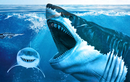 Công bố mới về “siêu quái vật” Megalodon cổ đại, bất ngờ dung mạo