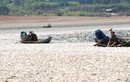 Đồng Nai: Hơn 200 tấn cá chết ở hồ Sông Mây gây ô nhiễm 