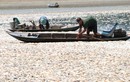 Công an vào cuộc vụ cá chết nổi trắng hồ Sông Mây, Đồng Nai