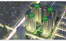 Tòa CT3 Eco-Green City chưa mở bán, khách đã đặt mua gần hết