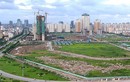 HN cho thuê hơn 3.000 m2 "đất vàng" tại Hà Đông