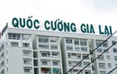 Nợ khủng, cổ phiếu Quốc Cường Gia Lai vẫn liên tục tăng trần