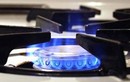 Sống tốt trong thời bão giá với chiêu tiết kiệm gas 