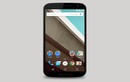 Lộ hình ảnh và cấu hình Google Nexus 6 gần hoàn chỉnh