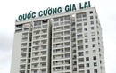 Quốc Cường Gia Lai dùng cổ phiếu của bà Như Loan làm gì ?