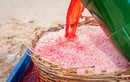 Những tiết lộ sốc về thuốc nhuộm đỏ ruốc ở Phú Yên