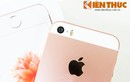 Zoom sát hàng nóng iPhone SE vàng hồng vừa đổ bộ HN