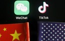 Mỹ sẽ cấm thêm nhiều ứng dụng Trung Quốc sau TikTok, WeChat