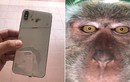 Tá hỏa phát hiện ảnh selfie của “kẻ trộm” trong iPhone bị đánh cắp